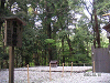 s_PICT0038_thumb.png